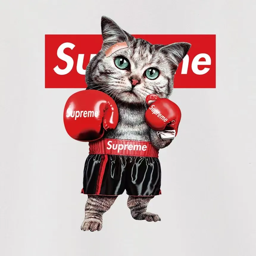 Style No. S2219 #terry P160💰 Velvet P170💰 Supreme FW19 Week 1 Mary J. Blige hooded sweatshirt Made of 400g large terry 430g silver fox velvet (off-shoulder large version) fabric, soft and non-pilling, imported environmentally friendly printing glue, bright and three-dimensional pattern, quality 💥Same style for men and women, the upper body is trendy Color: black white gray Size: S M L XL XXL