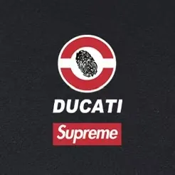 Style No. S2135 #terry P160💰 Velvet P170💰 Supreme Ducati co-branded motorcycle letter print hooded sweatshirt Made of 400g large terry 430g silver fox velvet (drop shoulder large version) fabric, soft texture and no pilling Imported environmentally friendly printing glue The pattern is bright and three-dimensional Quality 💥Same style for men and women The upper body is trendy Color: black white gray Size: S M L XL XXL